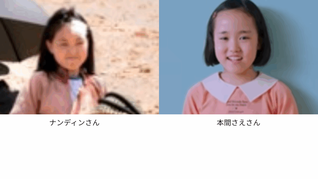 本間さえさんとナンディンさんの比較画像